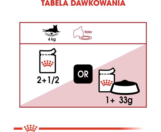 ROYAL CANIN FHN INSTINCTIVE IN JELLY - WET FOOD FOR ADULT CATS - 12X85G