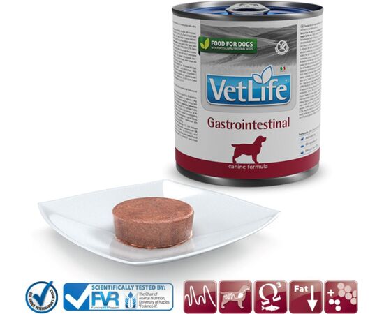 FARMINA VET LIFE DIET DOG GASTROINTESTINAL 300 G