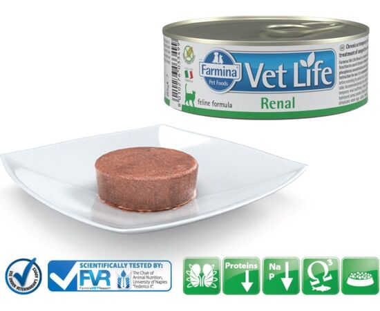 FARMINA VET LIFE DIET CAT RENAL 85 G
