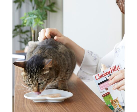 INABA GRILLED CHICKEN FILLET IN CHICKEN FLAVORED BROTH - CAT TREATS - 25 G