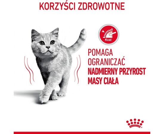 ROYAL CANIN FCN LIGHT WEIGHT CARE IN JELLY - WET FOOD FOR ADULT CATS - 12X85G