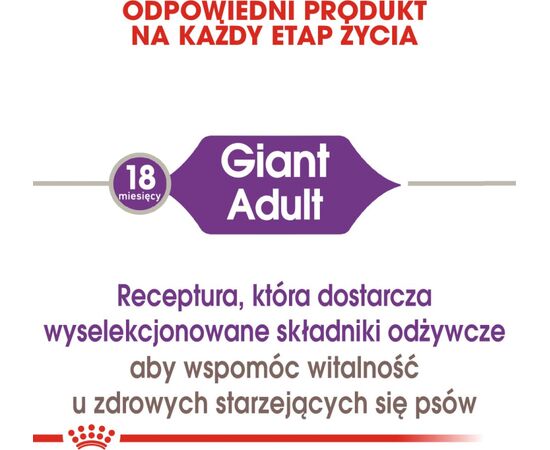 ROYAL CANIN GIANT ADULT 15 KG