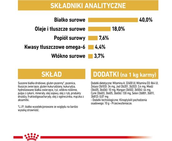 ROYAL CANIN FBN BENGAL ADULT - DRY CAT FOOD - 10KG