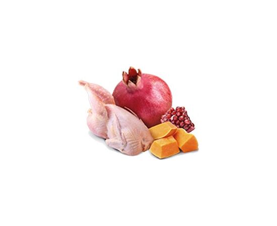 FARMINA PET FOOD N&D PUMPKIN GRAIN-FREE CANINE 285G CHICKEN, VEGETABLE ADULT