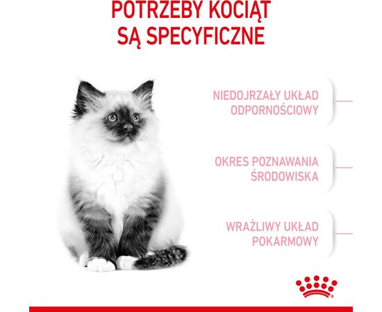 ROYAL CANIN KITTEN CATS DRY FOOD 10 KG