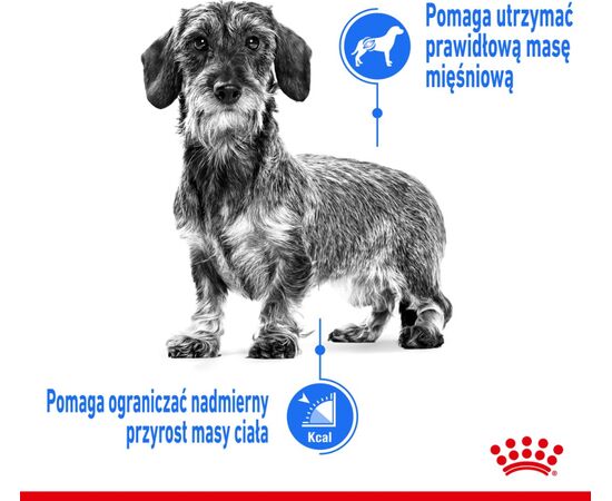 ROYAL CANIN LIGHT WEIGHT CARE WET DOG FOOD PÂTÉ 12X85 G