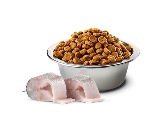 FARMINA N&D SEA BASS, SPIRULINA AND FENNEL ADULT MINI - DRY DOG FOOD - 2 KG