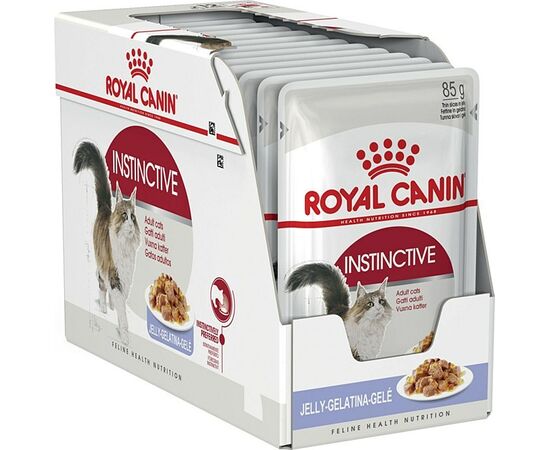 ROYAL CANIN FHN INSTINCTIVE IN JELLY - WET FOOD FOR ADULT CATS - 12X85G