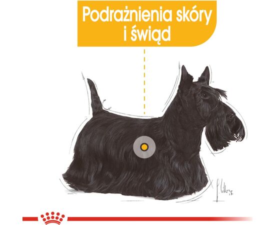 ROYAL CANIN MINI DERMACOMFORT -  DRY FOOD FOR ADULT SMALL BREEDS OF DOGS WITH SENSITIVE SKIN PRONE TO IRRITATION - 3KG