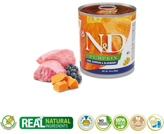 FARMINA N&D DOG LAMB&PUMPKIN&BLUEBERRY ADULT 285G