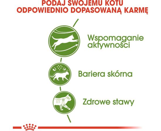 ROYAL CANIN ACTIVE LIFE OUTDOOR CATS DRY FOOD 4 KG ADULT POULTRY