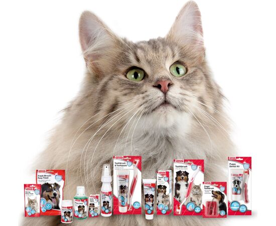 BEAPHAR CAT TOOTH PROTECTION SNACK - 35 G