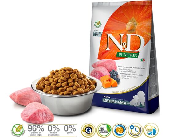 FARMINA N&D GF PUMPKIN DOG LAMB&BLUEBERRY PUPPY MEDIUM/MAXI 12KG