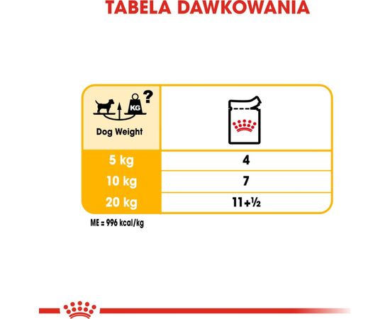 ROYAL CANIN DERMACOMFORT CARE WET DOG FOOD PÂTÉ 12X85 G