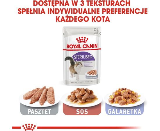 ROYAL CANIN FHN STERILISED IN SAUCE - WET FOOD FOR ADULT CATS - 12X85G