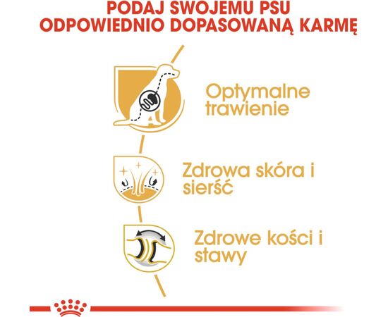 ROYAL CANIN GERMAN SHEPHERD 11KG