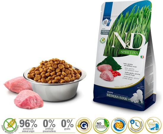 FARMINA N&D SPIRULINA LAMB PUPPY MED/MAXI - DRY DOG FOOD - 2 KG