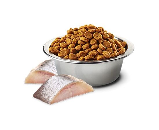 FARMINA N&D SPIRULINA HERRING ADULT MED/MAXI - DRY DOG FOOD - 7 KG