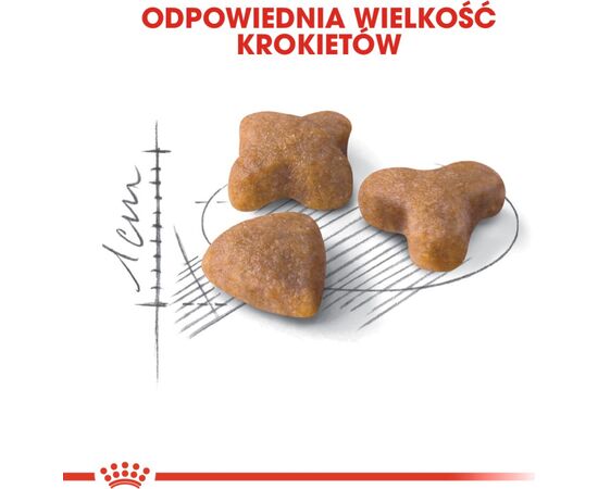 ROYAL CANIN SENSIBLE 33 CATS DRY FOOD 10 KG ADULT