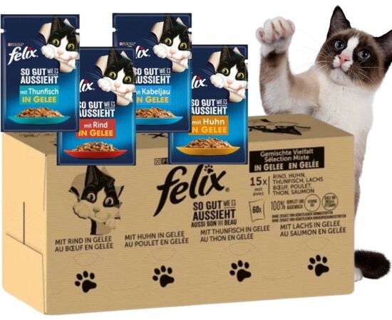 PURINA NESTLE PURINA FELIX MIX 120X85G