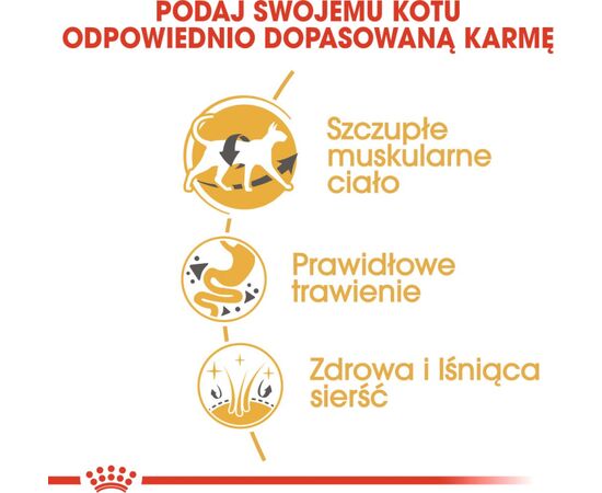 ROYAL CANIN SIAMESE CATS DRY FOOD 2 KG ADULT POULTRY