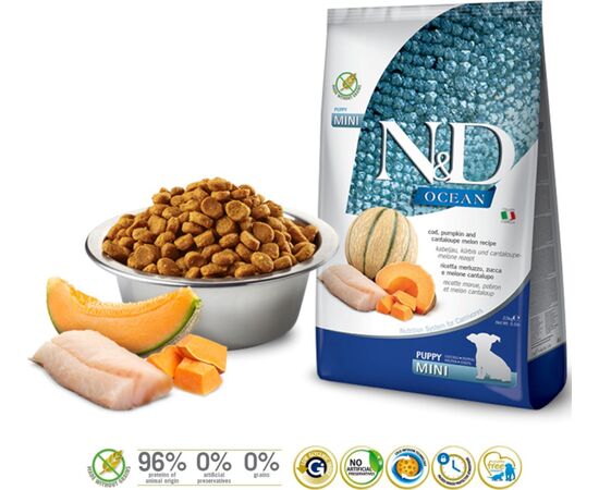 FARMINA N&D OCEAN DOG COD, PUMPKIN & CANTALOUPE MELON PUPPY MINI 800G