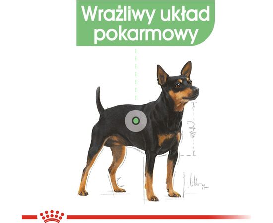 ROYAL CANIN CCN DIGESTIVE CARE LOAF - WET FOOD FOR ADULT DOGS - 12X85G