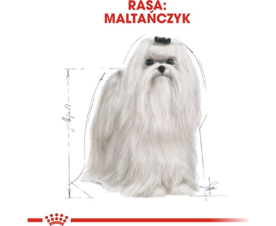 ROYAL CANIN MALTESE ADULT CORN, POULTRY 1,5 KG