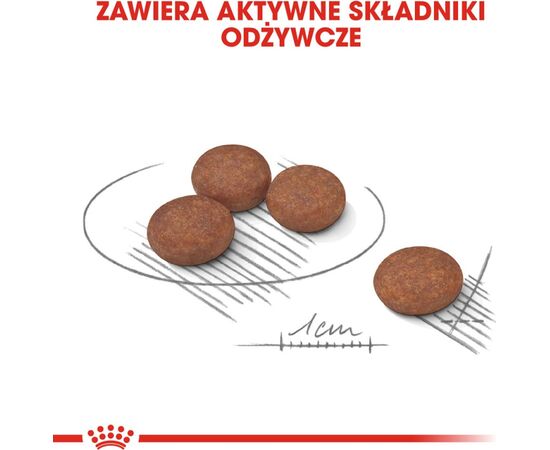 ROYAL CANIN MINI DIGESTIVE CARE - DRY DOG FOOD FOR ADULT SMALL BREEDS - 1KG