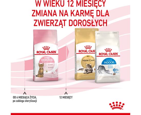 ROYAL CANIN KITTEN STERILISED CATS DRY FOOD 3.5 KG POULTRY