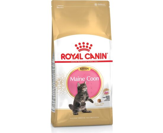 ROYAL CANIN MAINE COON KITTEN CATS DRY FOOD POULTRY,RICE 4 KG
