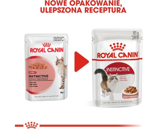 ROYAL CANIN FHN INSTINCTIVE - WET PATE FOOD FOR ADULT CATS - 12X 85G