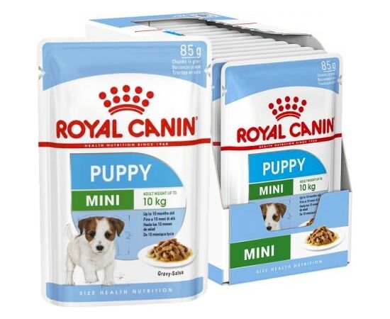 ROYAL CANIN SHN MINI PUPPY IN SAUCE - WET PUPPY FOOD - 12X85G