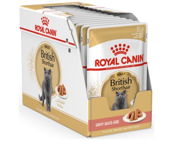 ROYAL CANIN BRITISH SHORTHAIR PACKET 12X85G