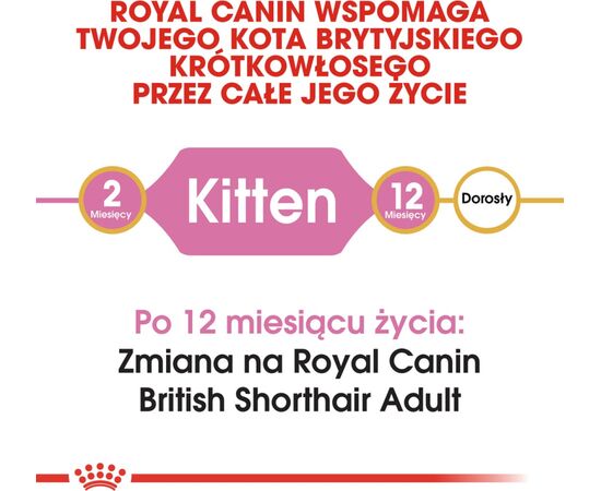 ROYAL CANIN BRITISH SHORTHAIR KITTEN CATS DRY FOOD 2 KG POULTRY, RICE, VEGETABLE