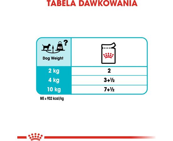 ROYAL CANIN CCN URINARY CARE LOAF - WET FOOD FOR ADULT DOGS - 12X85G