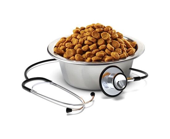 FARMINA VET LIFE HYPOALLERGENIC PORK & POTATO - DRY DOG FOOD - 2 KG