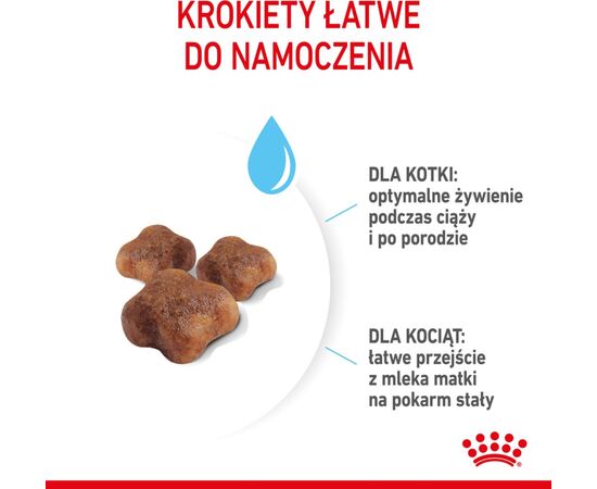 ROYAL CANIN MOTHER & BABYCAT CATS DRY FOOD 4 KG ADULT POULTRY