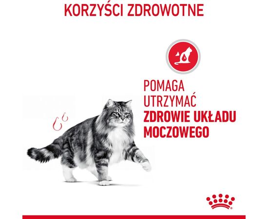 ROYAL CANIN URINARY CARE CATS DRY FOOD 10 KG ADULT POULTRY