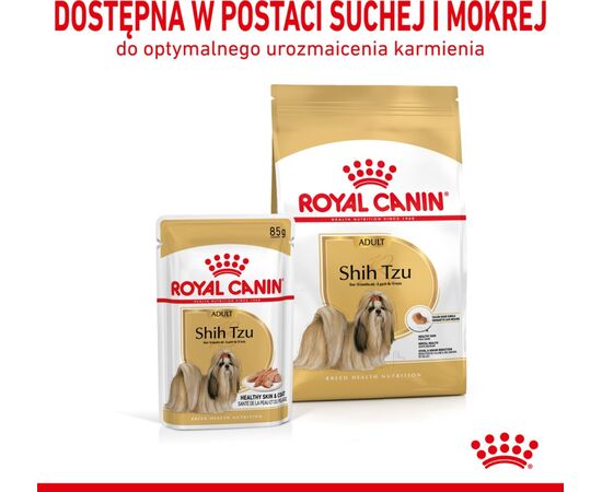 ROYAL CANIN SHIH TZU ADULT WET DOG FOOD PÂTÉ 12X85 G