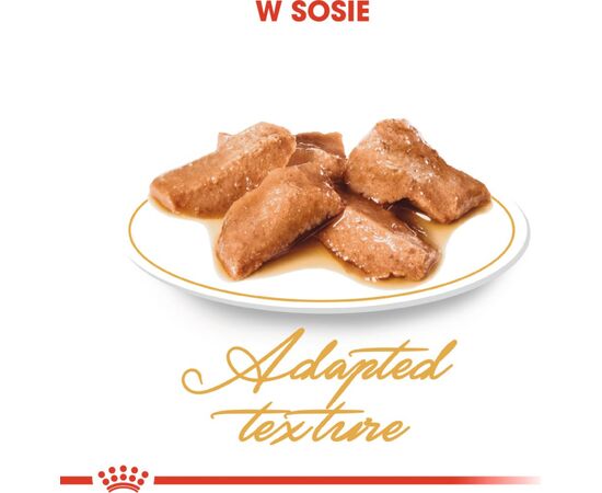 ROYAL CANIN FBN MAINE COON - CAT WET FOOD - SACHET 12X 85G