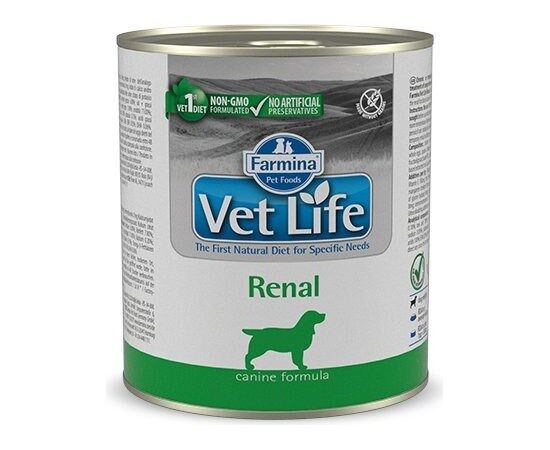 FARMINA VET LIFE DIET DOG RENAL 300 G