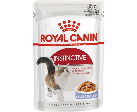 ROYAL CANIN FHN INSTINCTIVE IN JELLY - WET FOOD FOR ADULT CATS - 12X85G