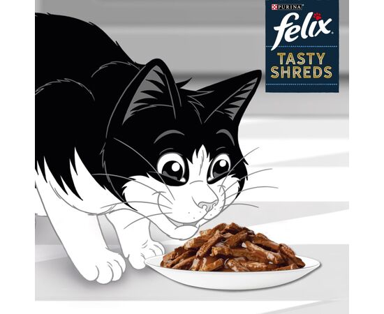 PURINA NESTLE FELIX TASTY SHREDS WITH BEEF AND CHICKEN - 4X 80G