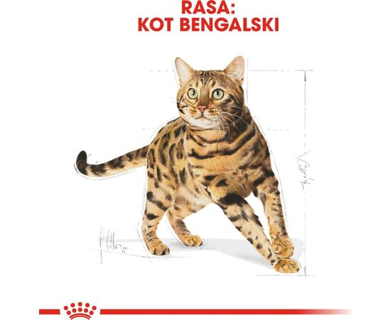 ROYAL CANIN BENGAL ADULT CATS DRY FOOD 2 KG POULTRY, VEGETABLE