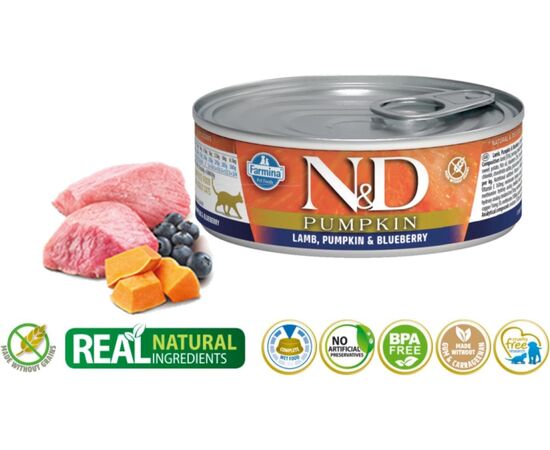 FARMINA N&D CAT LAMB & PUMPKIN & BLUEBERRY  70G