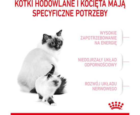 ROYAL CANIN MOTHER & BABYCAT CATS DRY FOOD 4 KG ADULT POULTRY
