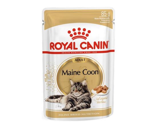 ROYAL CANIN FBN MAINE COON - CAT WET FOOD - SACHET 12X 85G