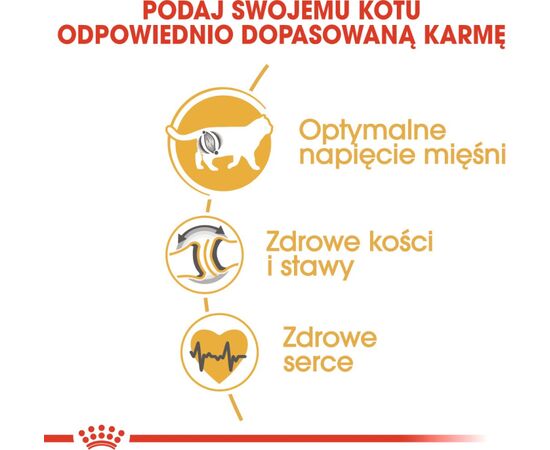 ROYAL CANIN BRITISH SHORTHAIR CATS DRY FOOD 2 KG ADULT