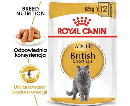 ROYAL CANIN BRITISH SHORTHAIR PACKET 12X85G
